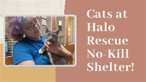 halo rescue sebastian
